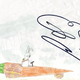 Illustration for article titled How To Get Jenson Button to Sign Your Race Carrot
